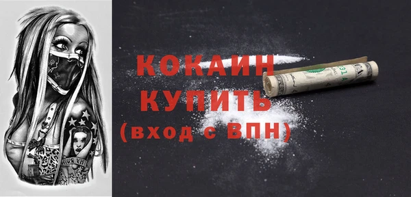 амф Снежногорск