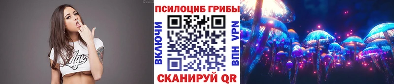 Купить  Дятьково  Галлюциногенные грибы Psilocybe 